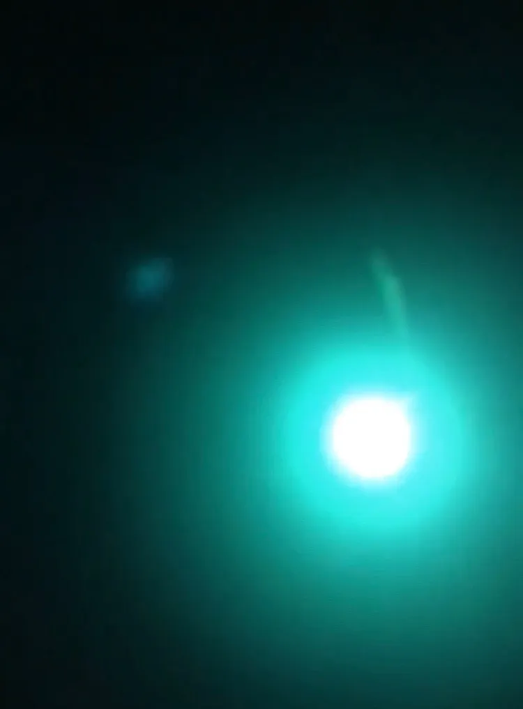 Sightseer OnlyFans header