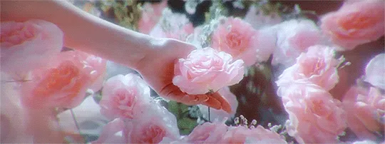 aphrodite OnlyFans header