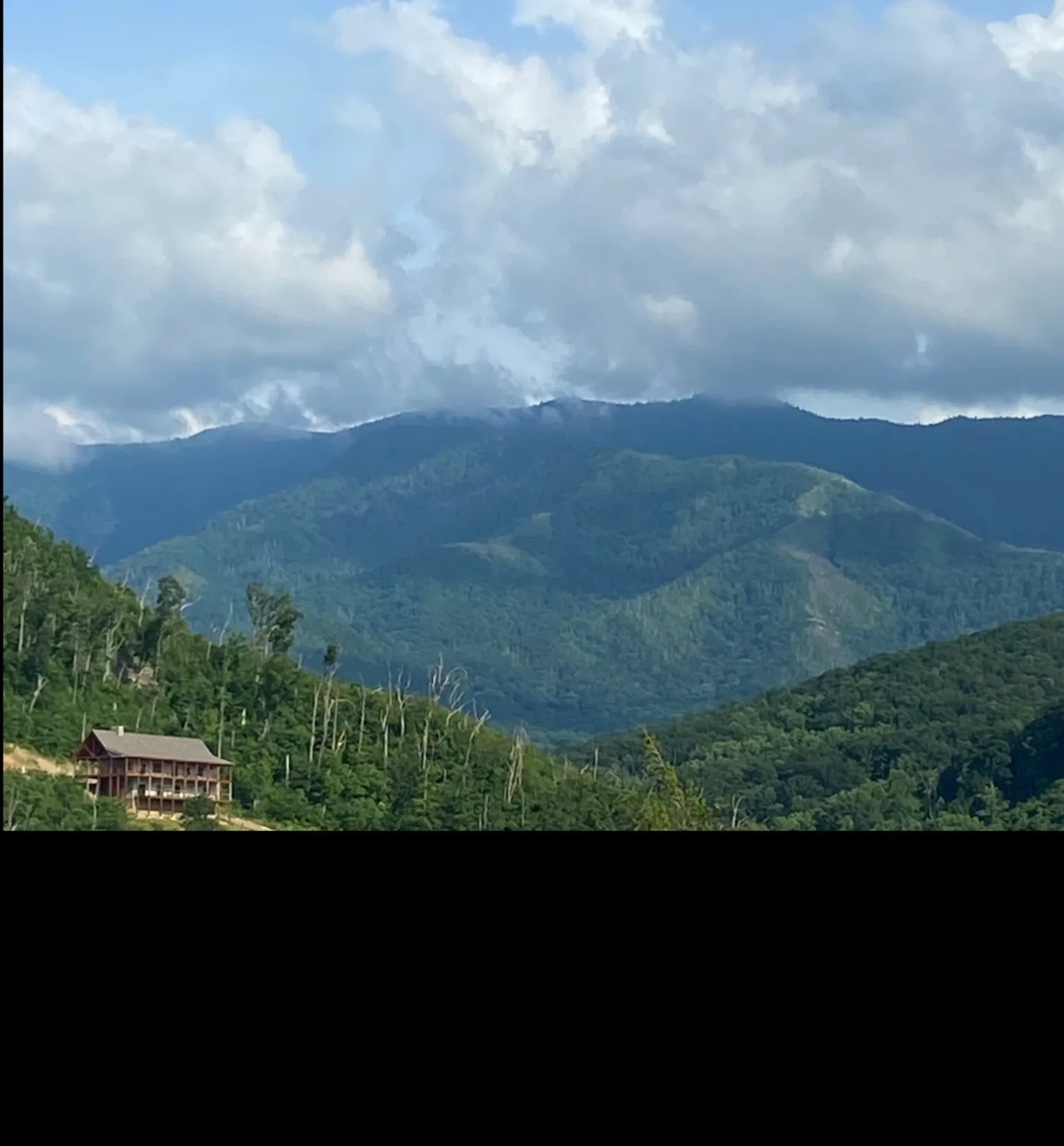 MsAphrodisia OnlyFans header