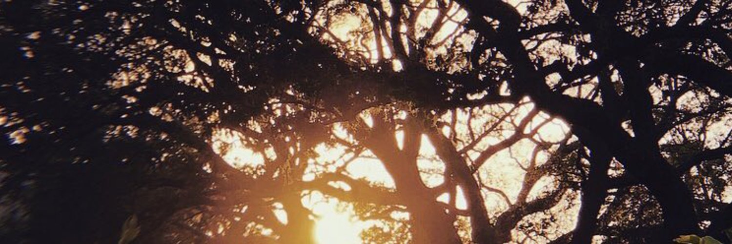 Sarah OnlyFans header