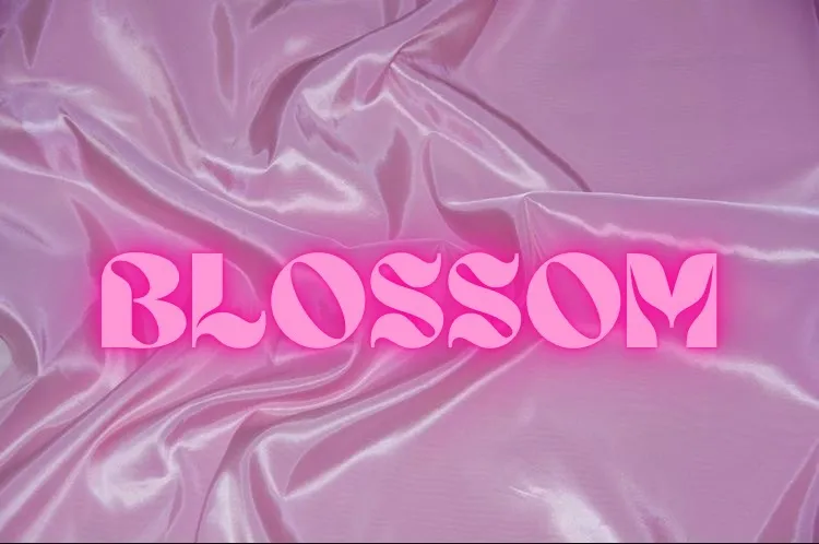 🌸Aphrodite Blossom🌸 OnlyFans header