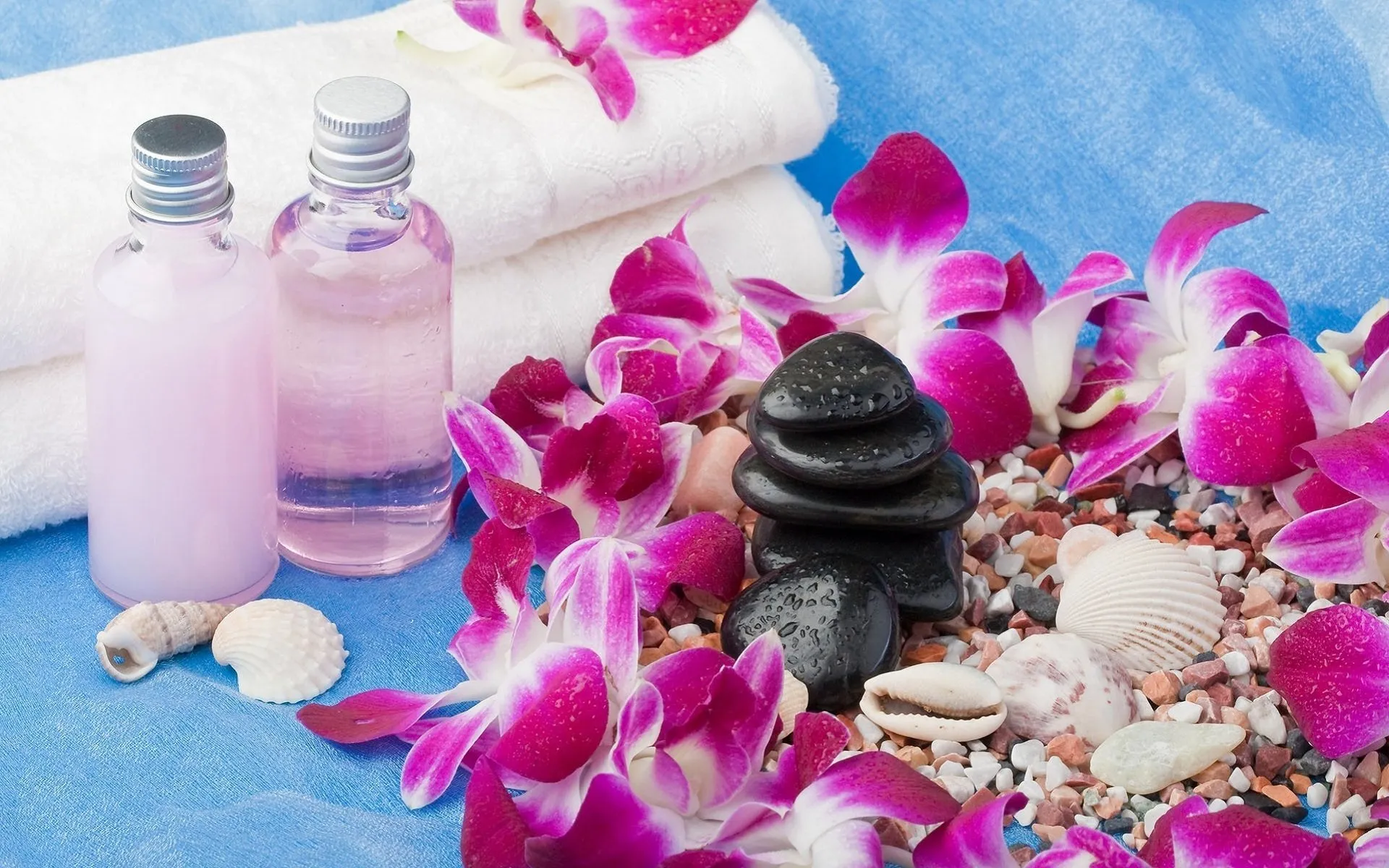 𝓐𝓹𝓱𝓻𝓸𝓭𝓲𝓽𝓮𝓼𝓑𝓮𝓪𝓾𝓽𝔂𝓥𝓘𝓟 OnlyFans header