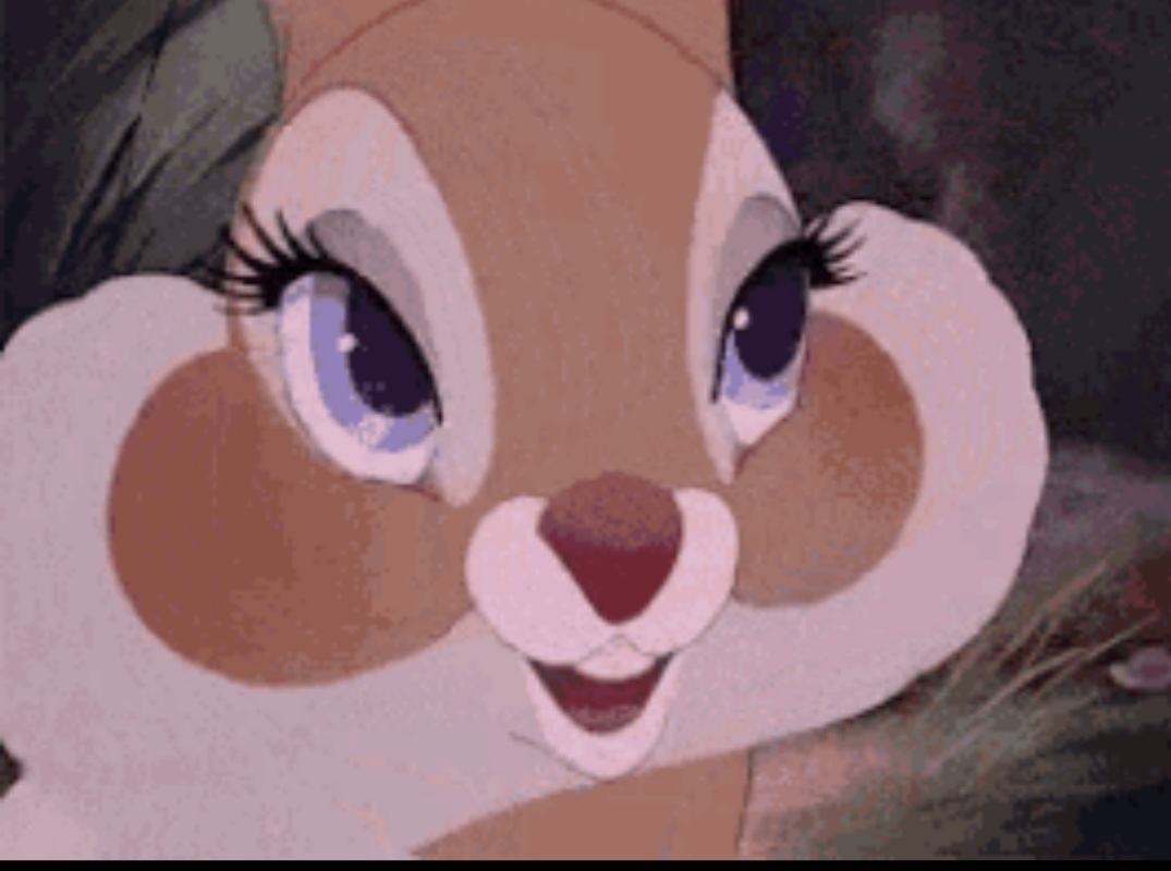 Ricebunnie OnlyFans header