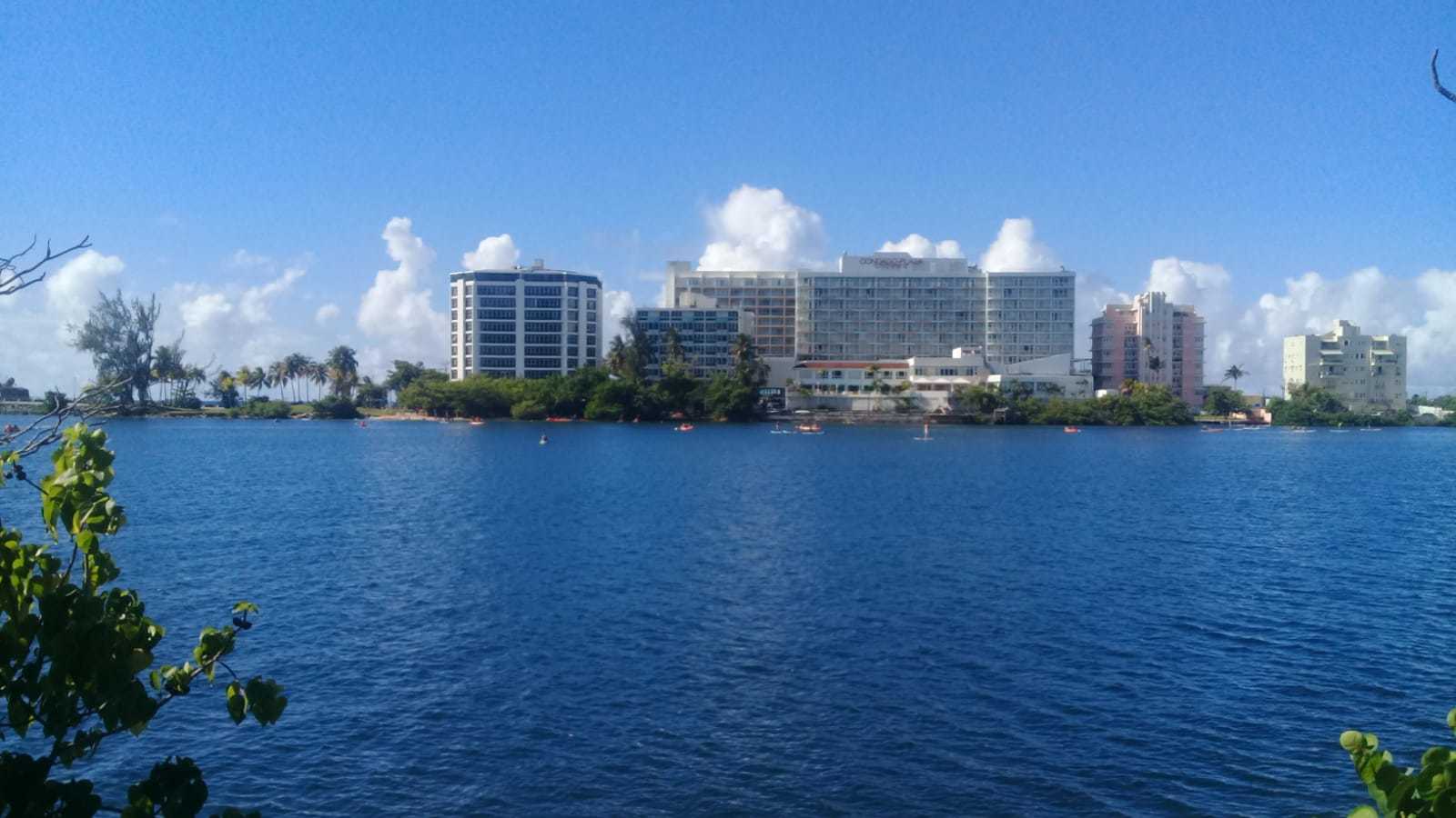 Apollo OnlyFans header