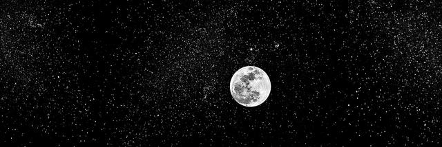 Apollo OnlyFans header