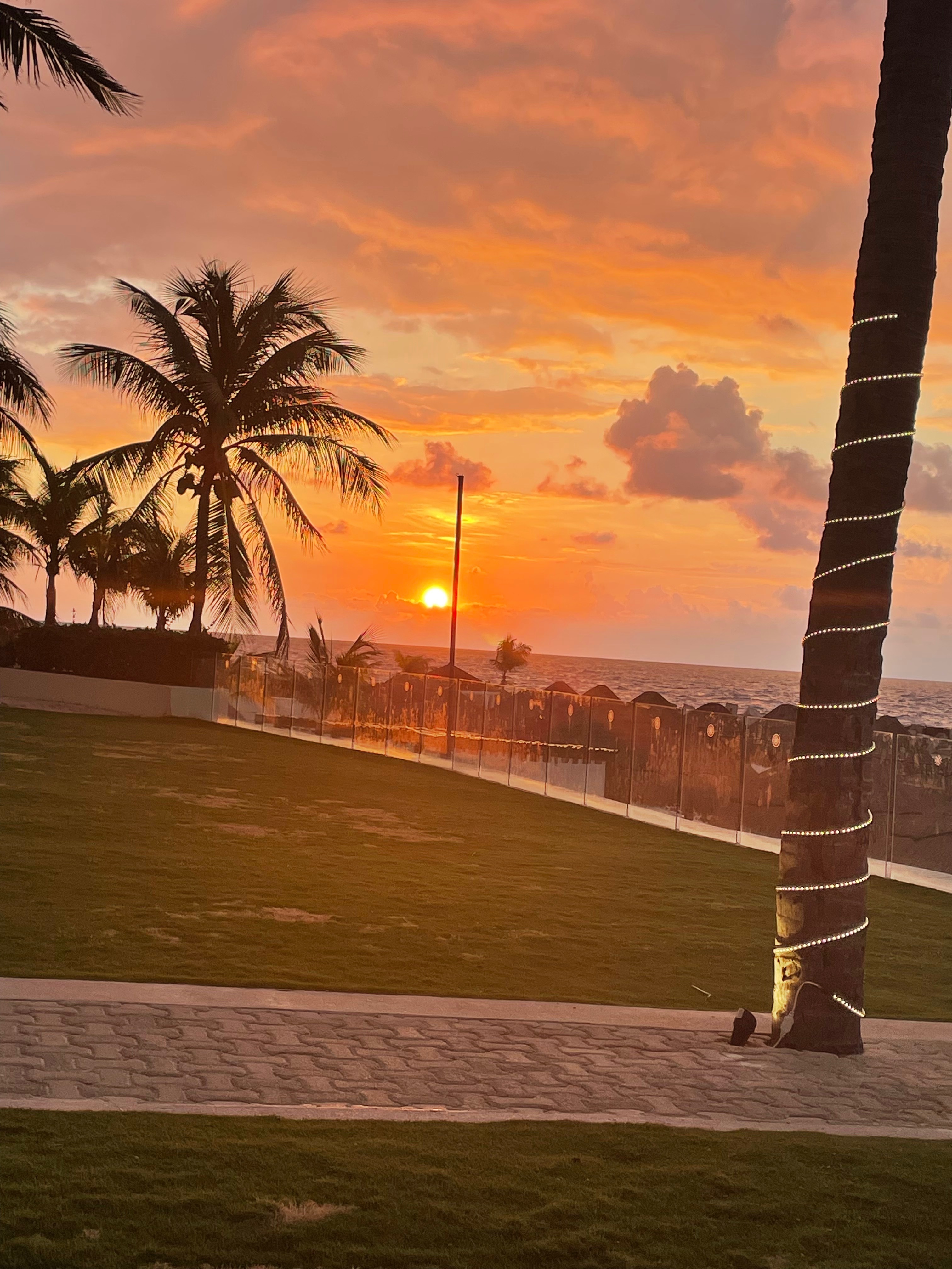 Apollo Cruz OnlyFans header