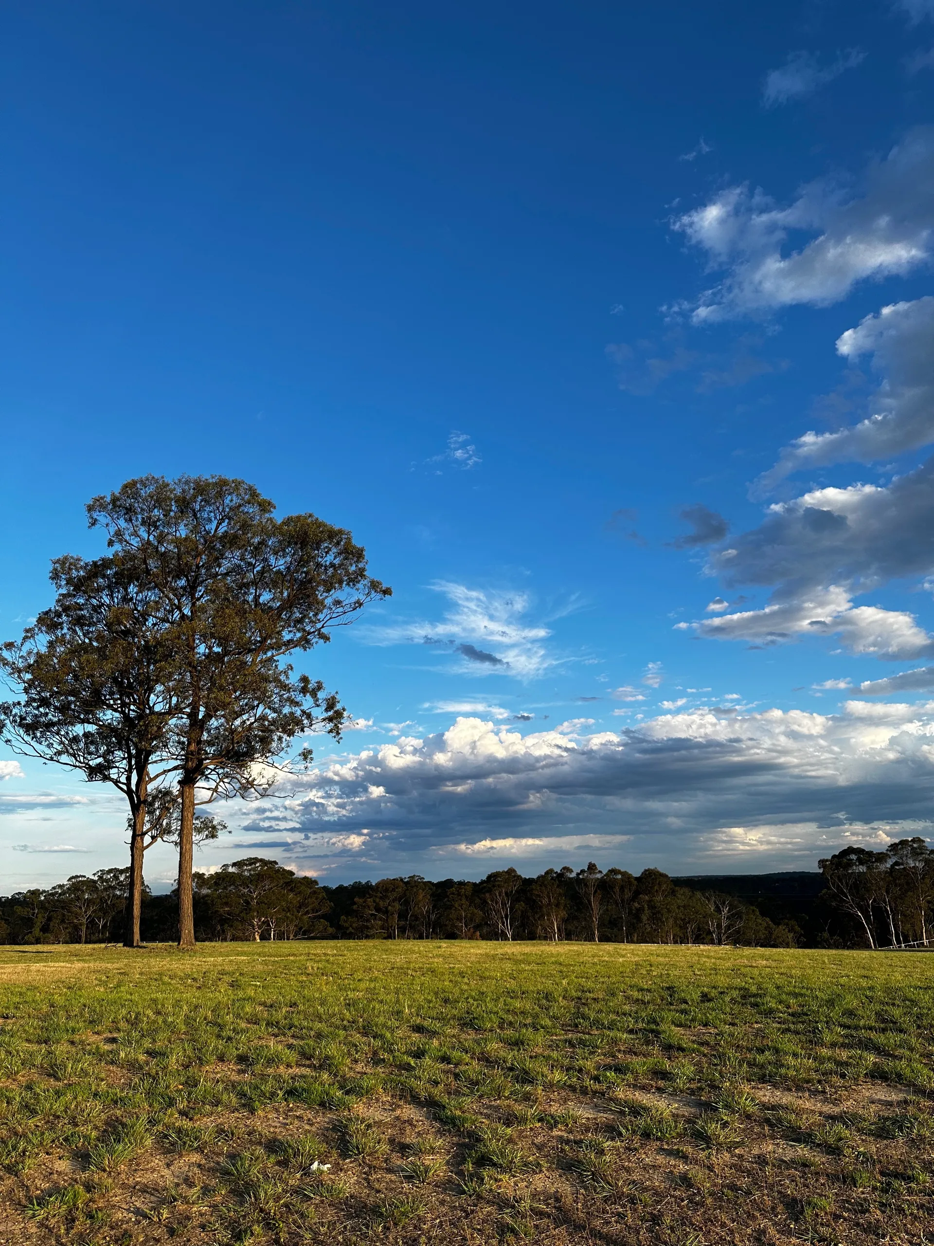 Apollo Knight OnlyFans header