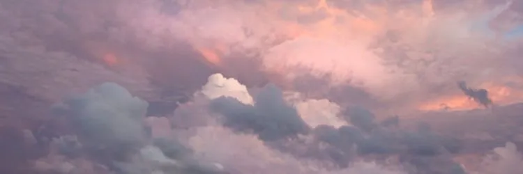 Daniel OnlyFans header