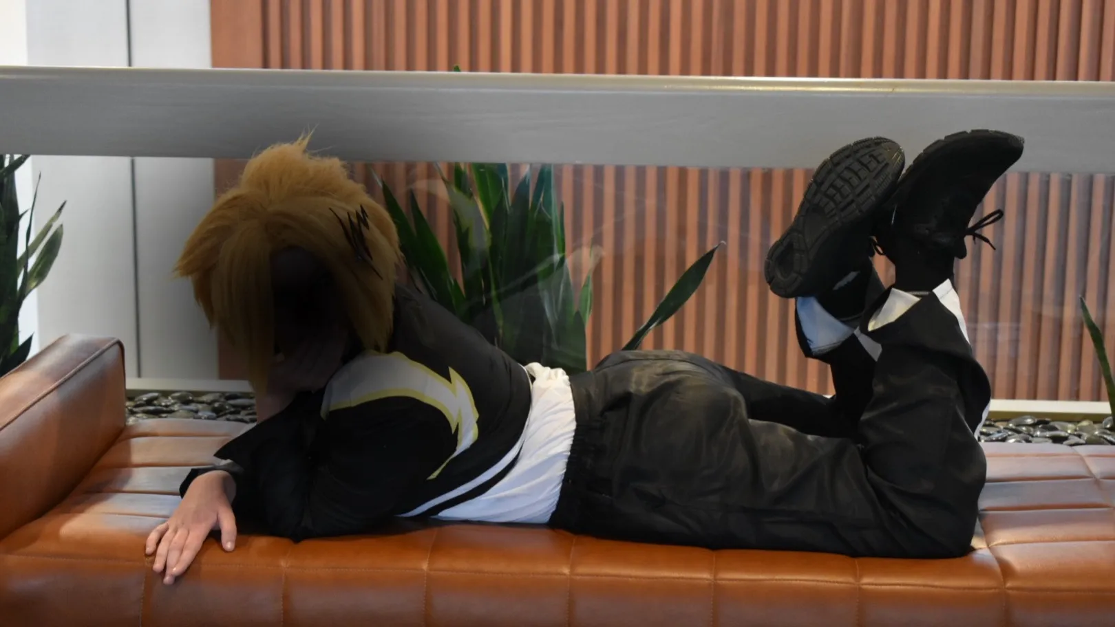 Prince OnlyFans header