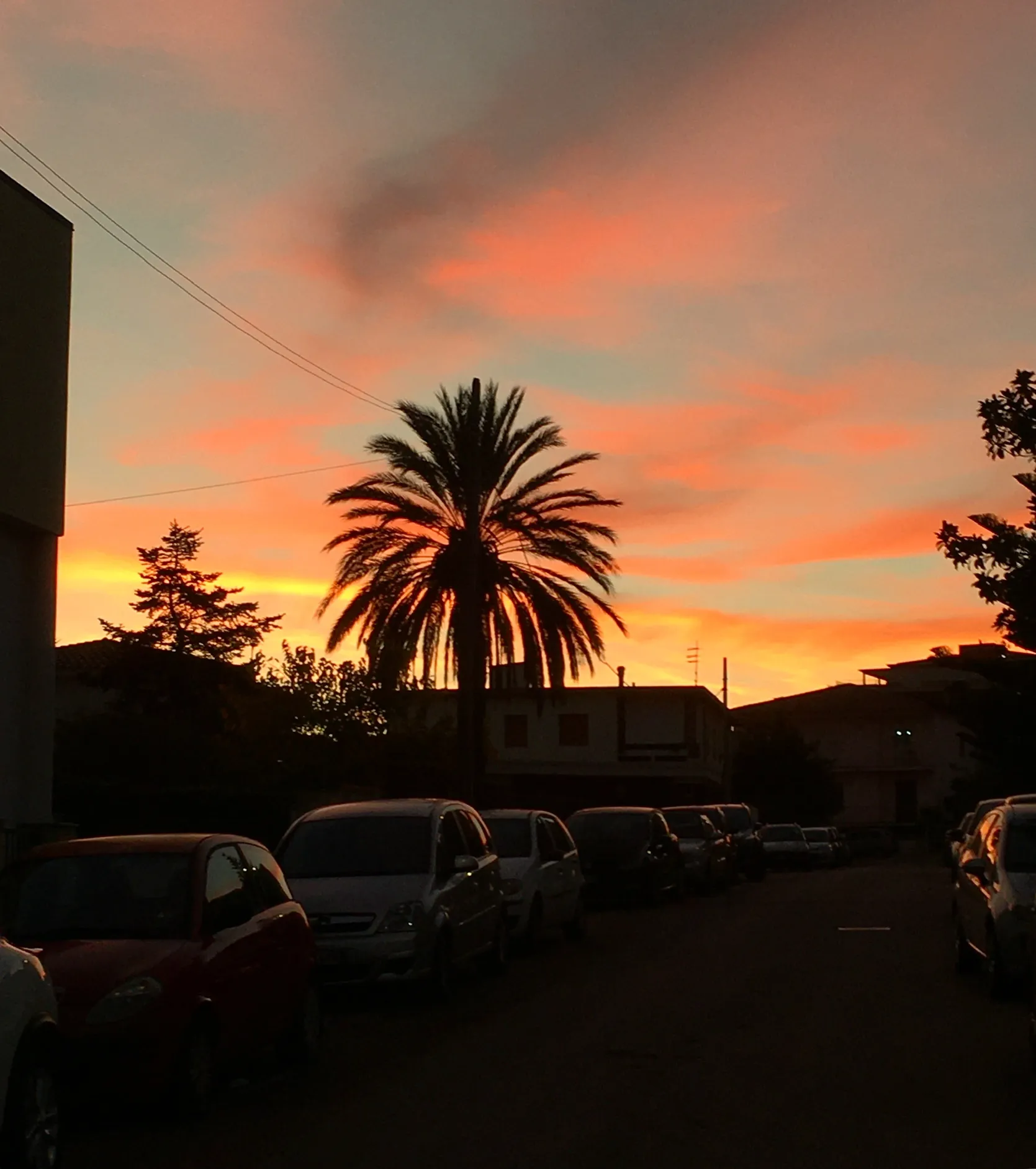 Who maybe me maybe you! OnlyFans header