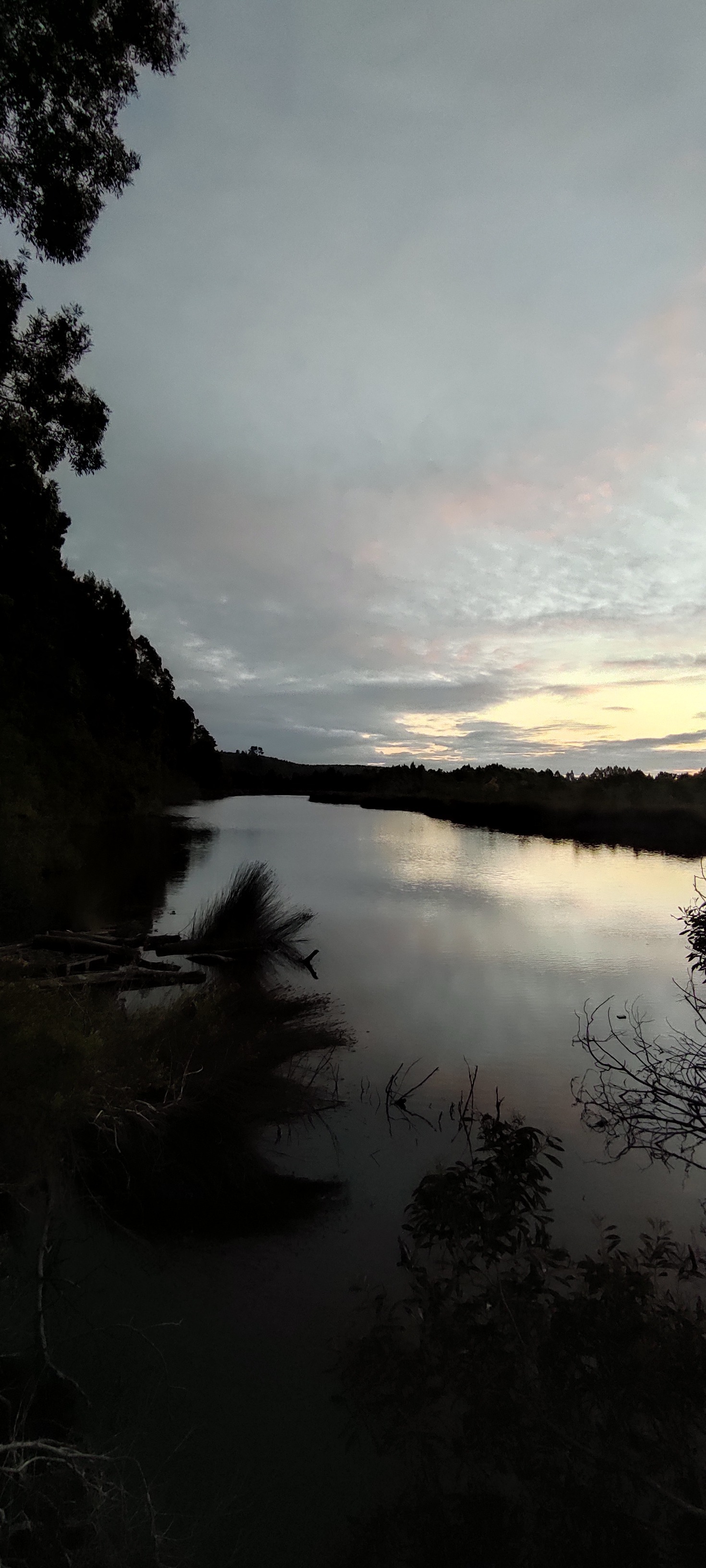 Apolo OnlyFans header