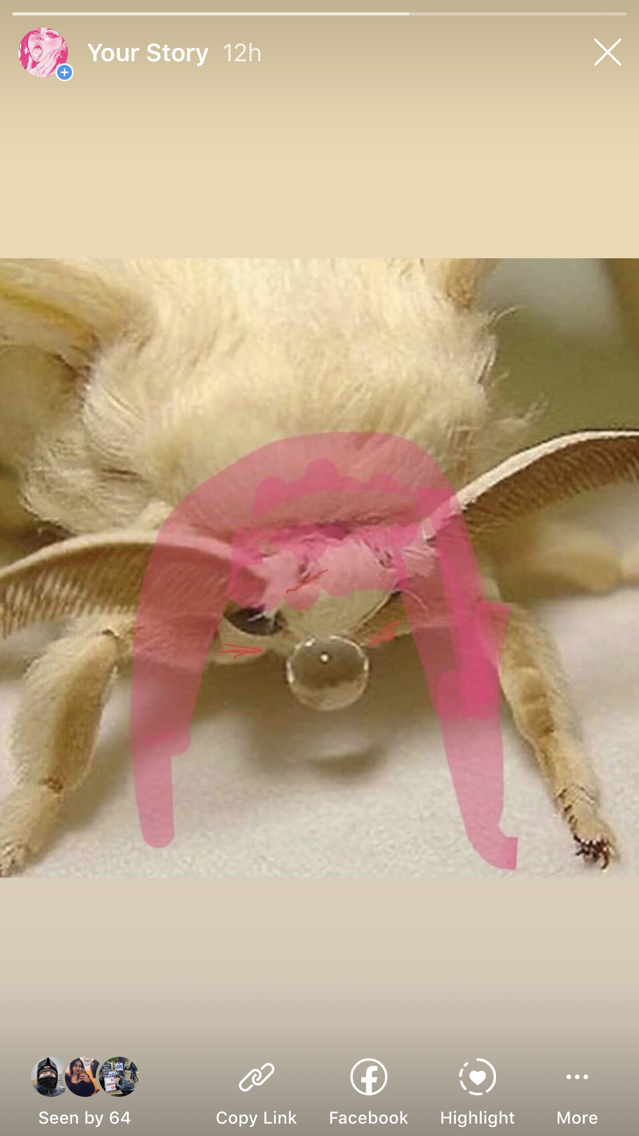 Katie Bell OnlyFans header