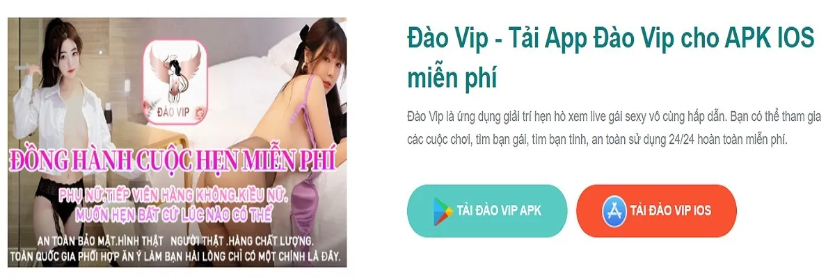 Đào Vip OnlyFans header
