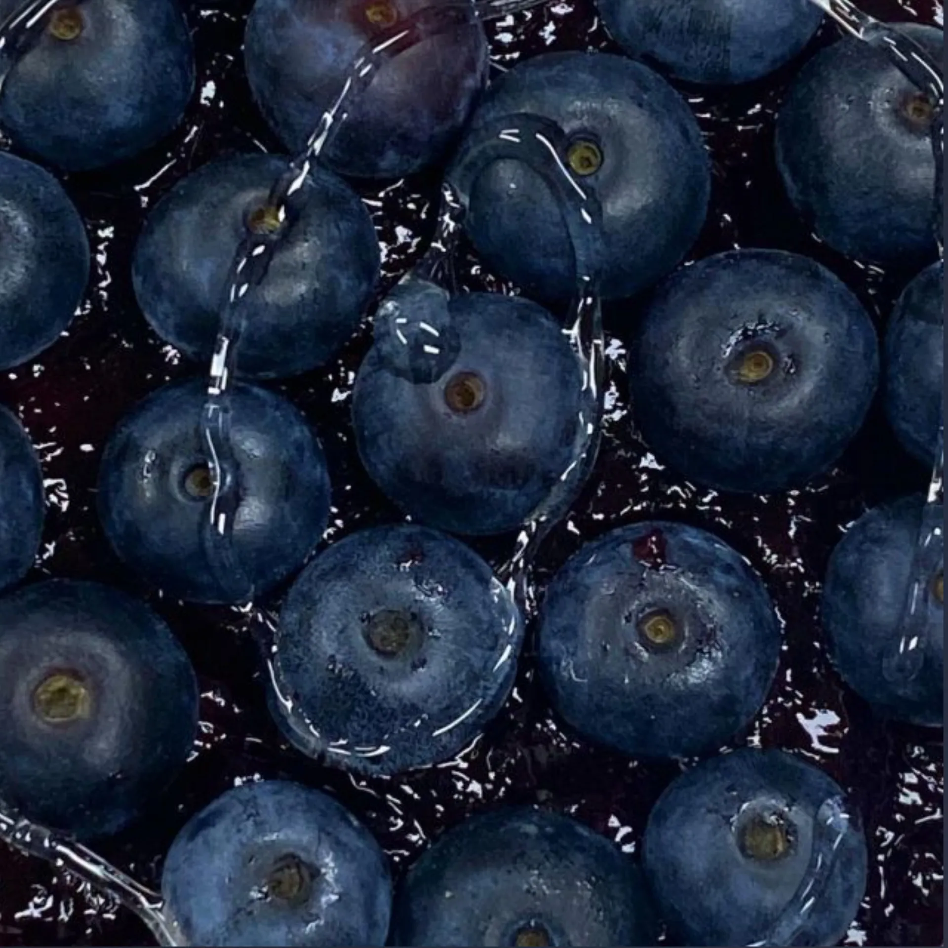 Apple Bunny OnlyFans header