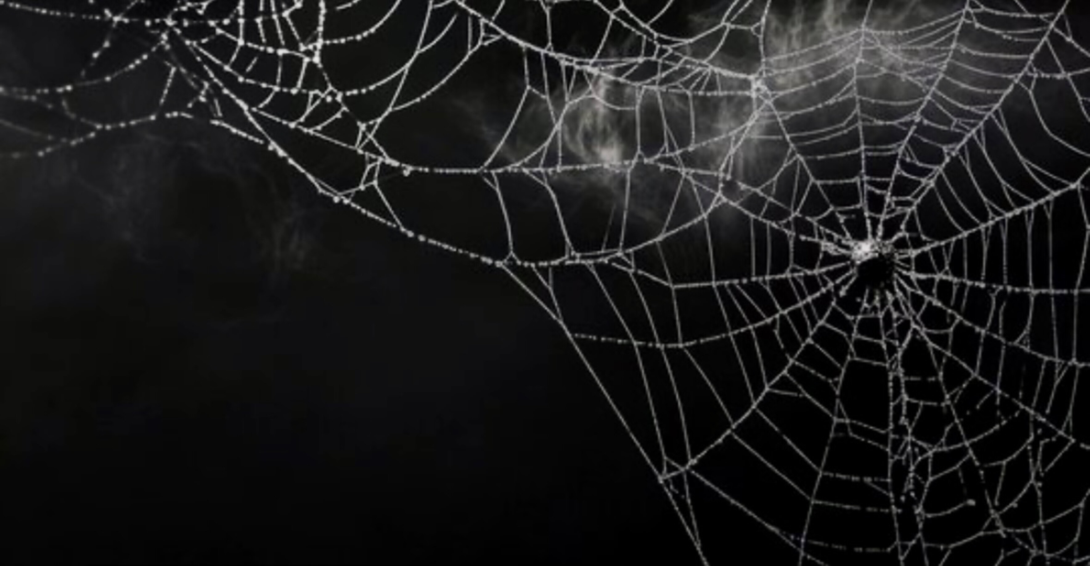 Apple Jaxxx OnlyFans header