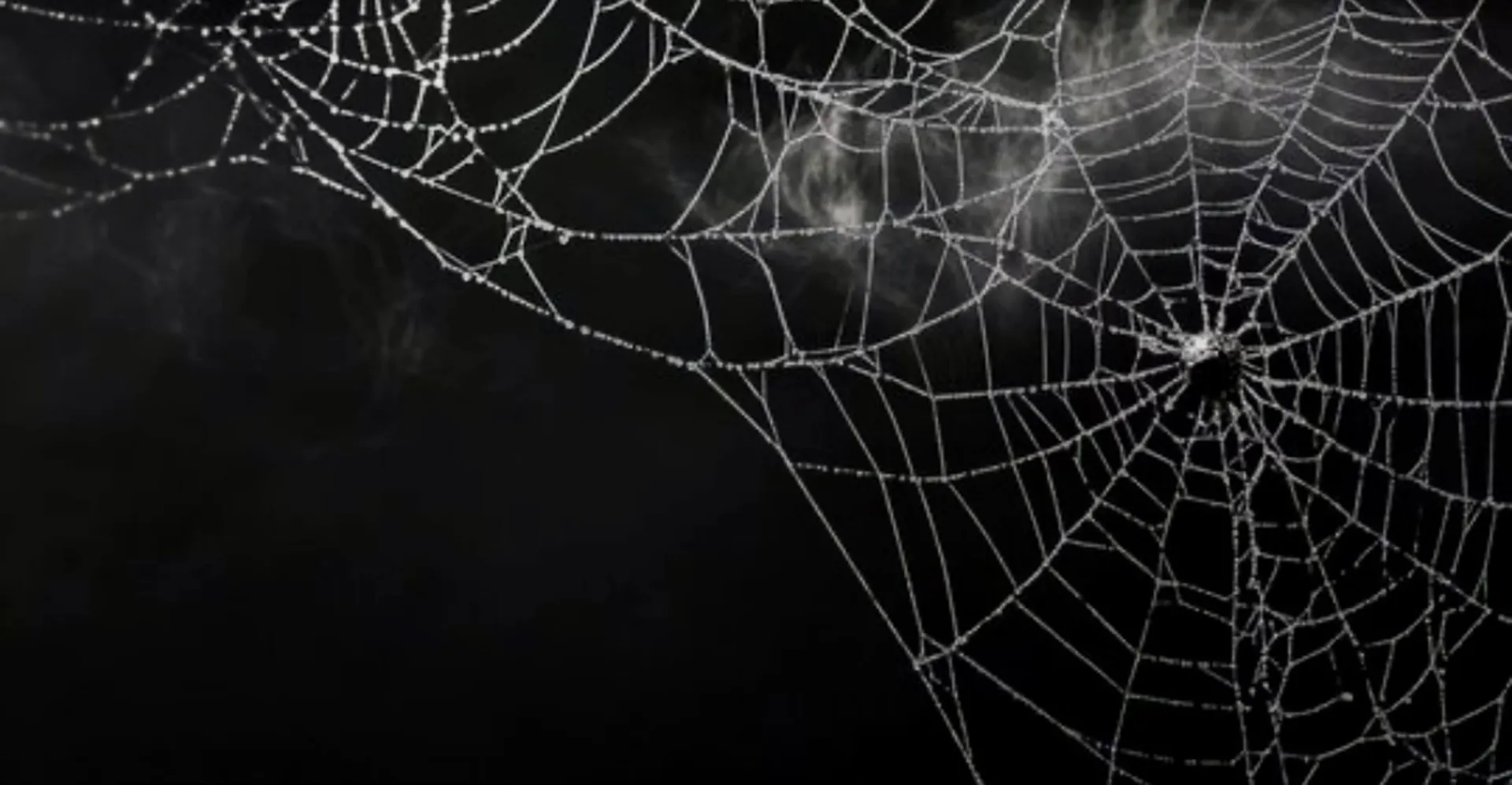 Apple Jaxxx OnlyFans header