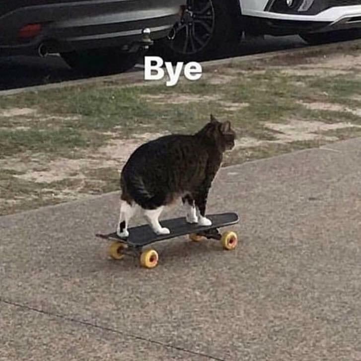 Olivia K OnlyFans header