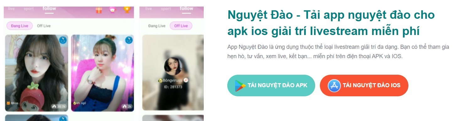 Nguyệt Đào OnlyFans header