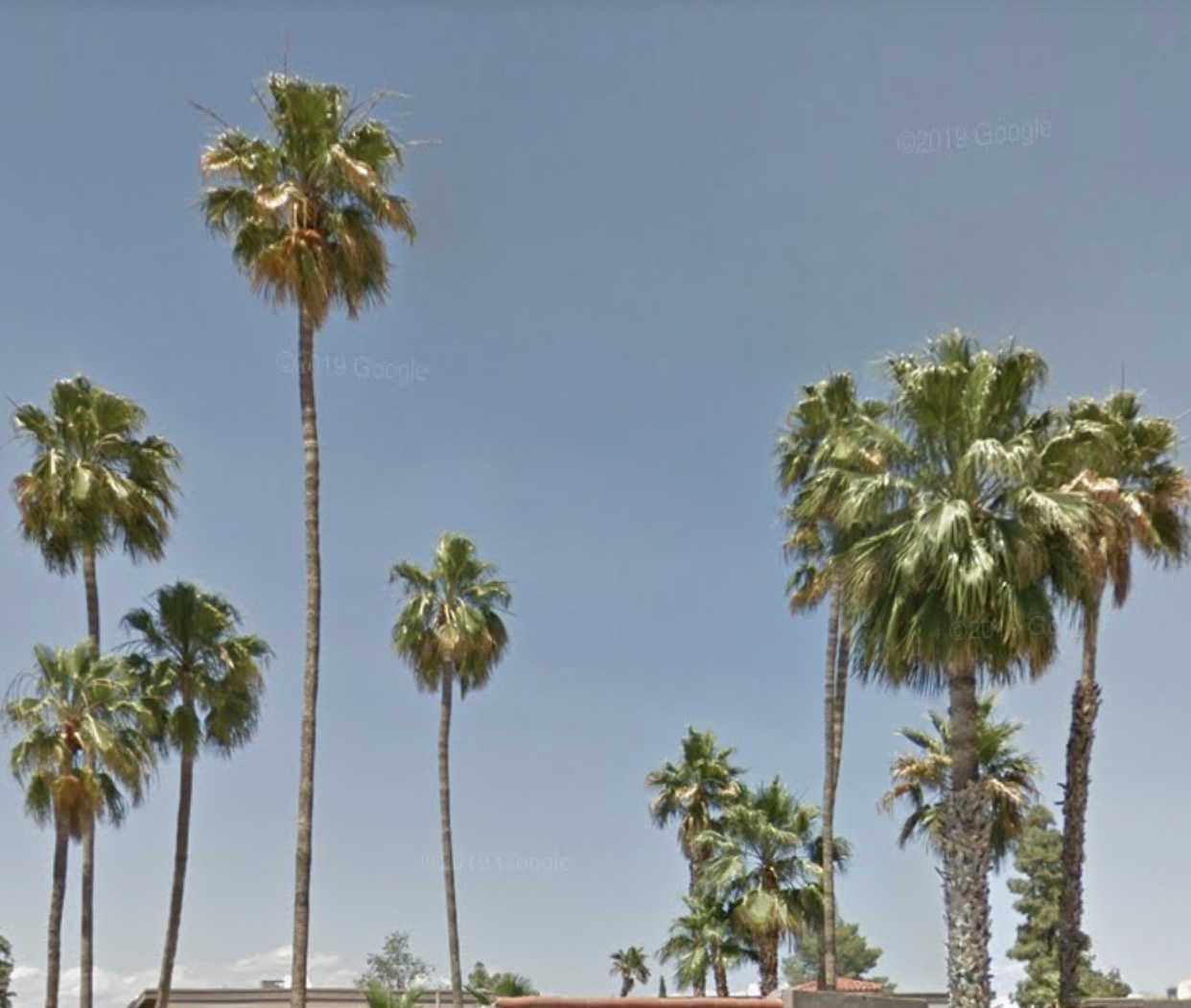 april OnlyFans header