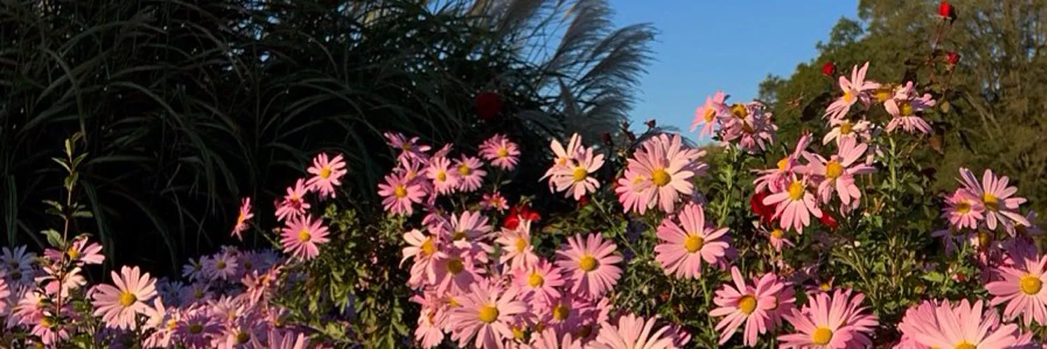 April :) OnlyFans header