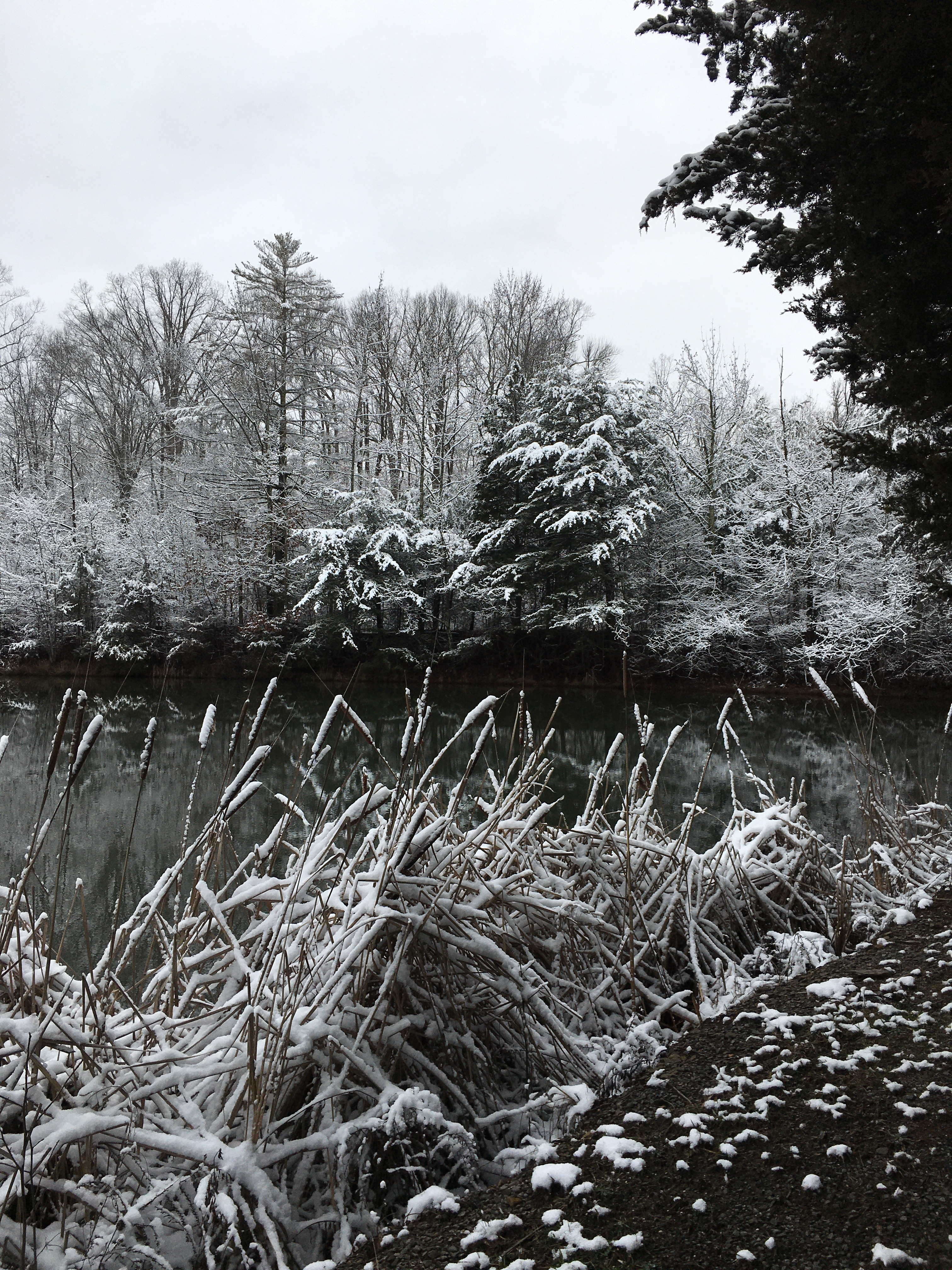 Baby Girl OnlyFans header