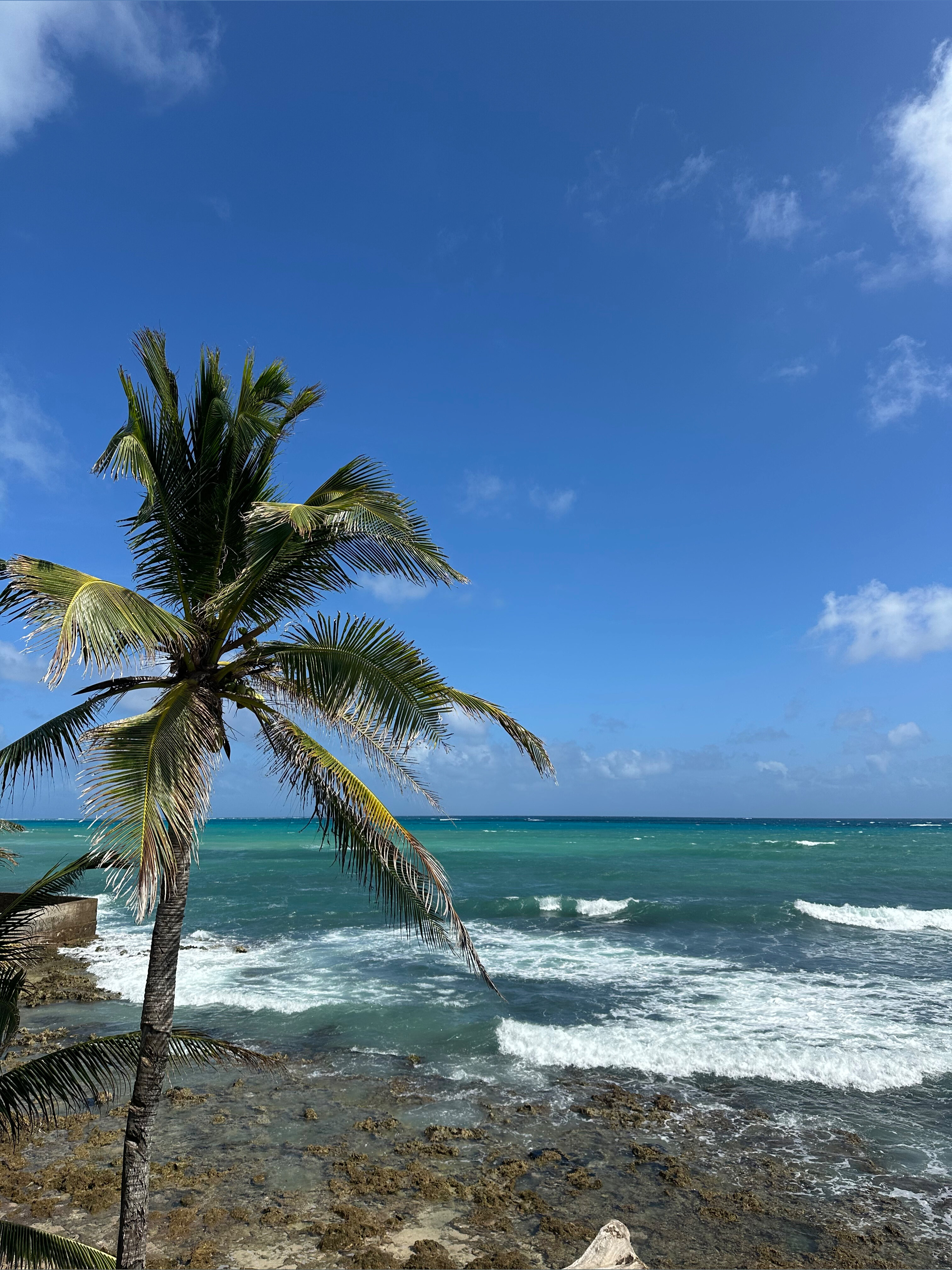 aprilgalezzo OnlyFans header