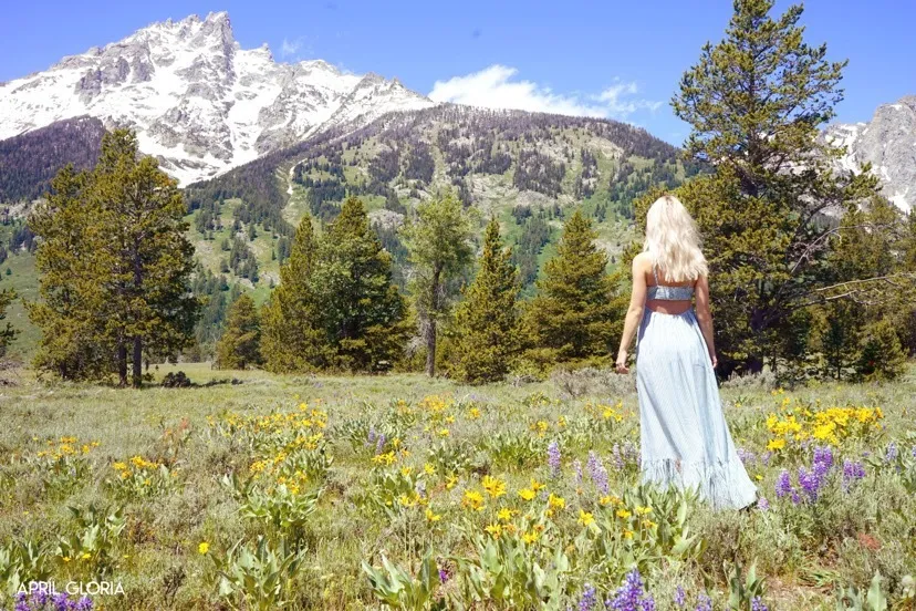 🌼 April Gloria 🌼 OnlyFans header