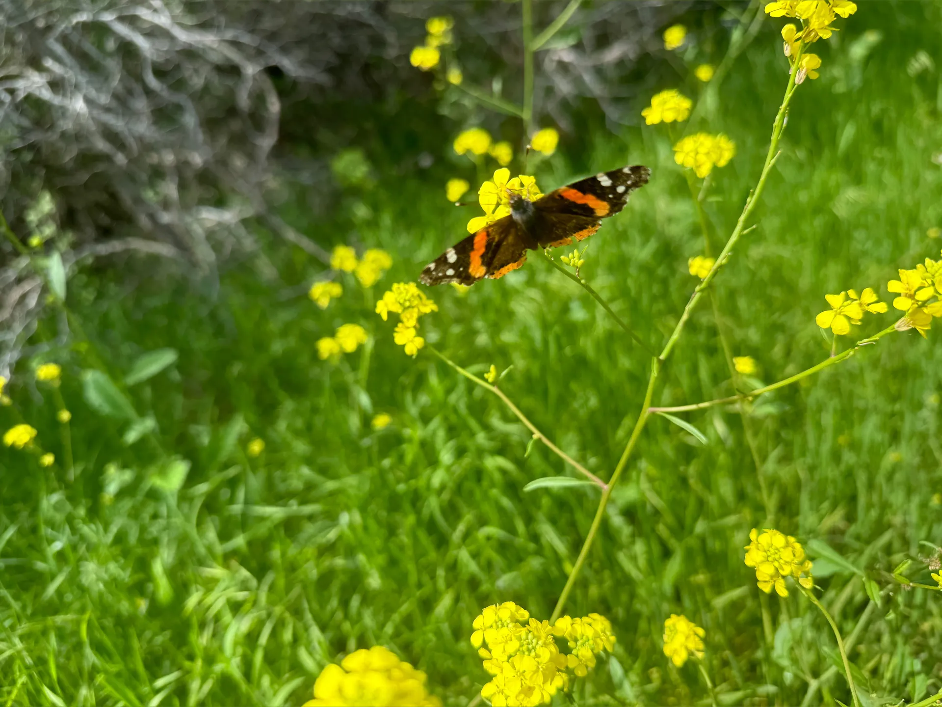 💜 Everlasting Euphoria 💜 OnlyFans header