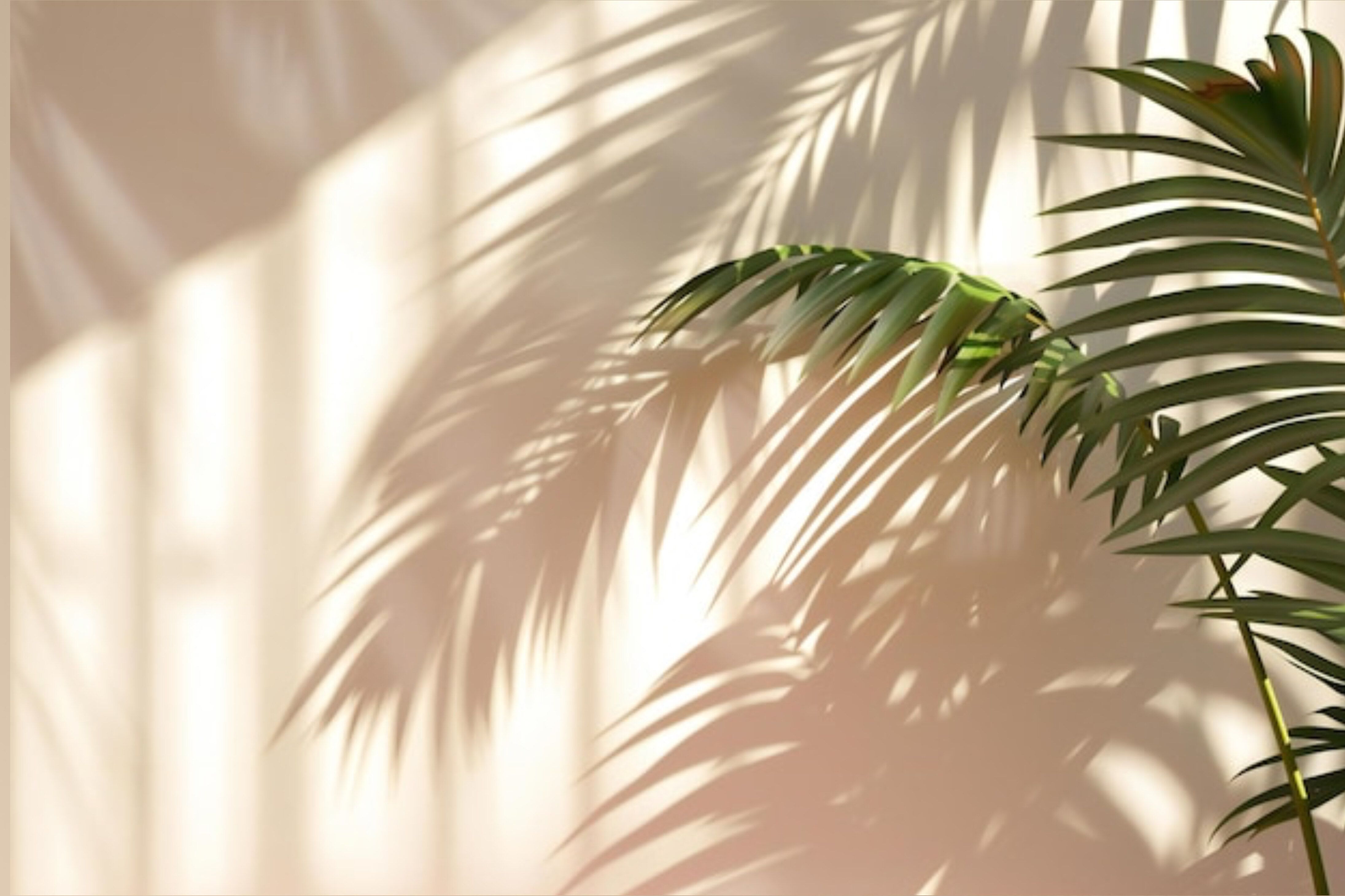 April Babe OnlyFans header