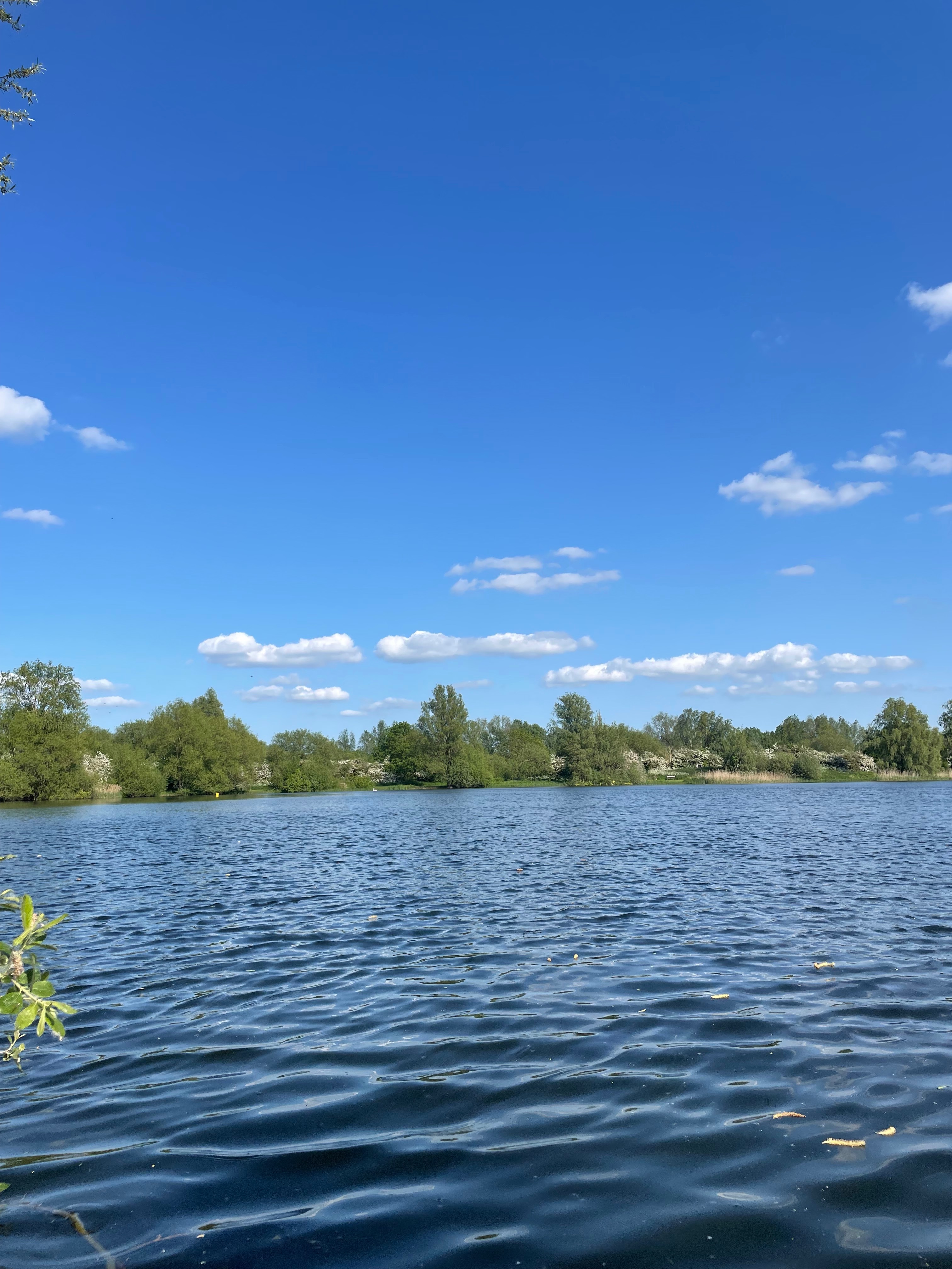 April’Rae🇯🇲 OnlyFans header