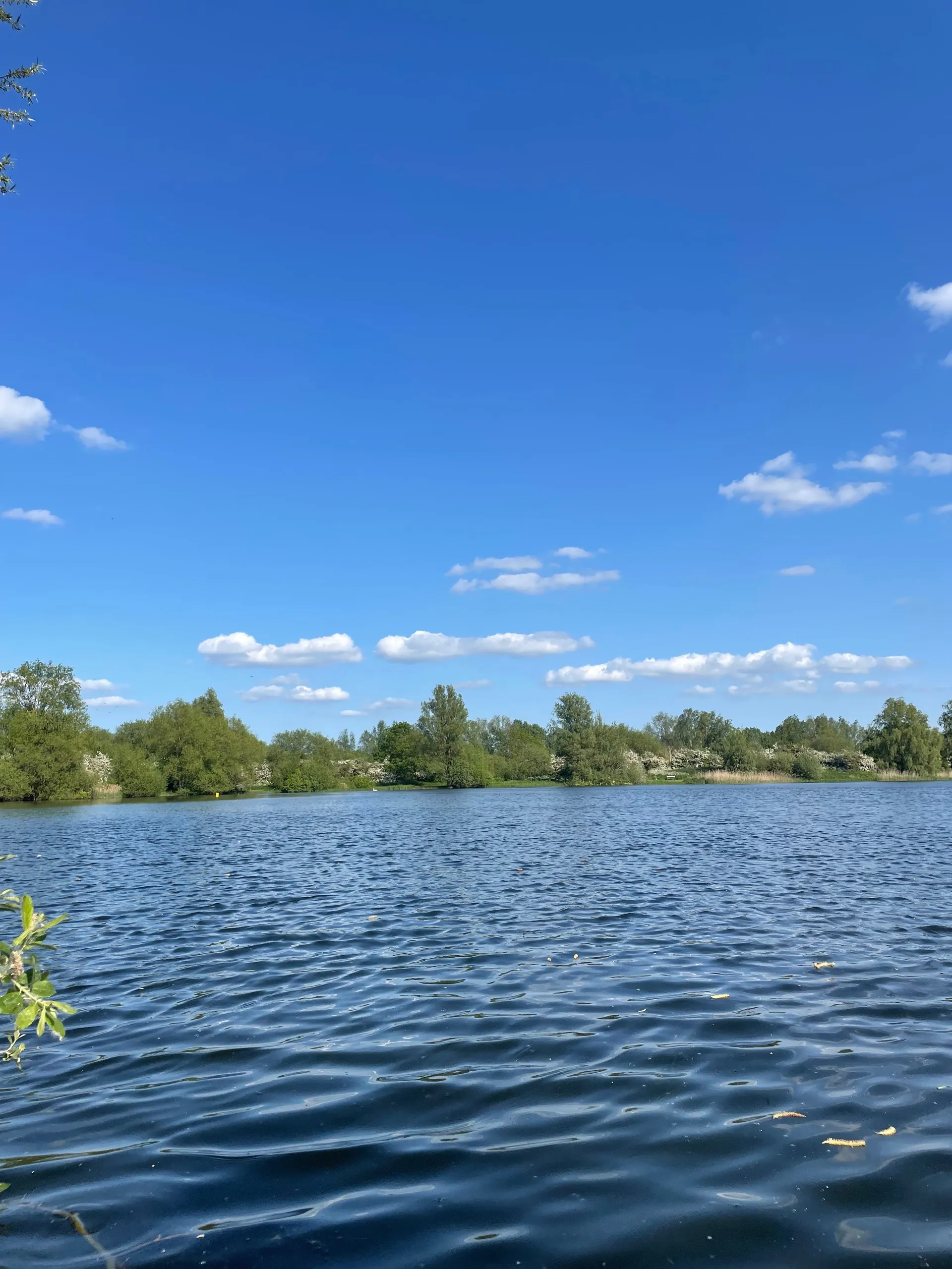 April’Rae🇯🇲 OnlyFans header