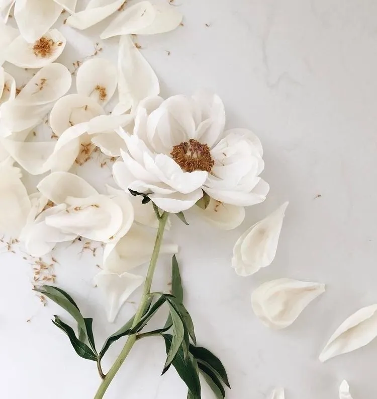 April Santos OnlyFans header