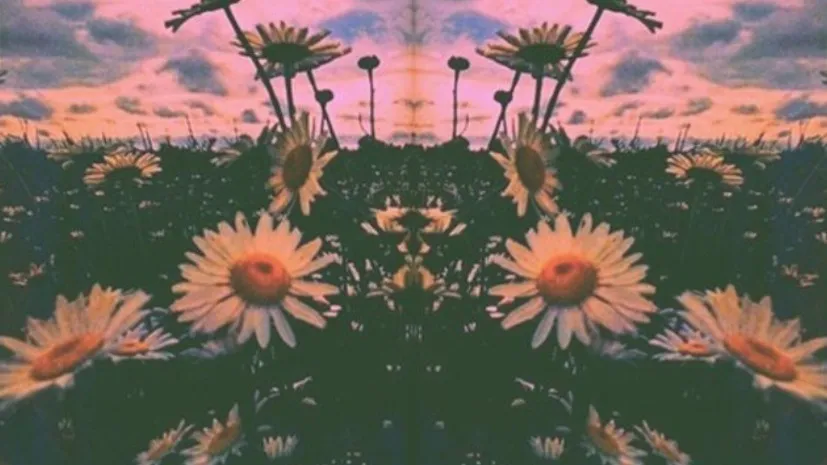 April Wilder OnlyFans header