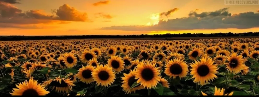 April OnlyFans header