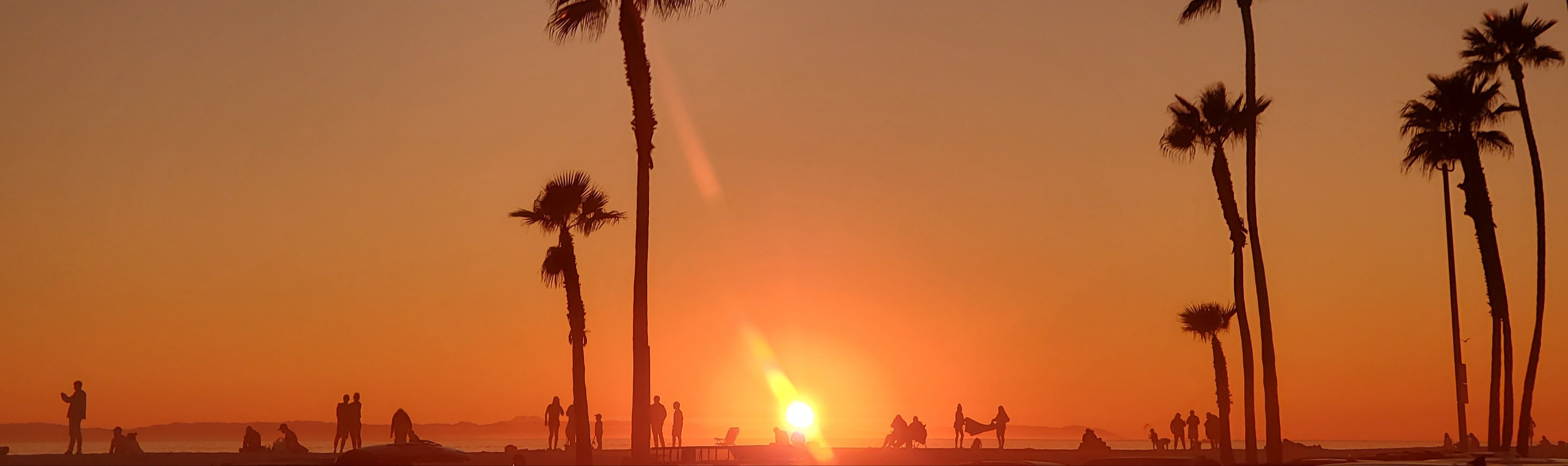 Aqua Bears Inc OnlyFans header