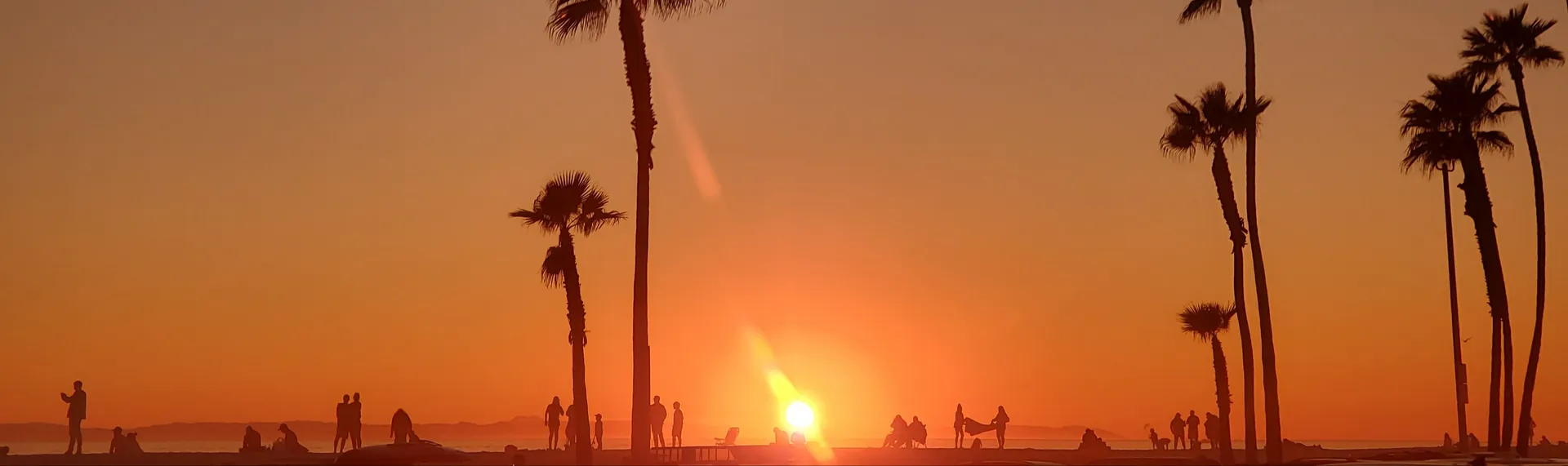 Aqua Bears Inc OnlyFans header