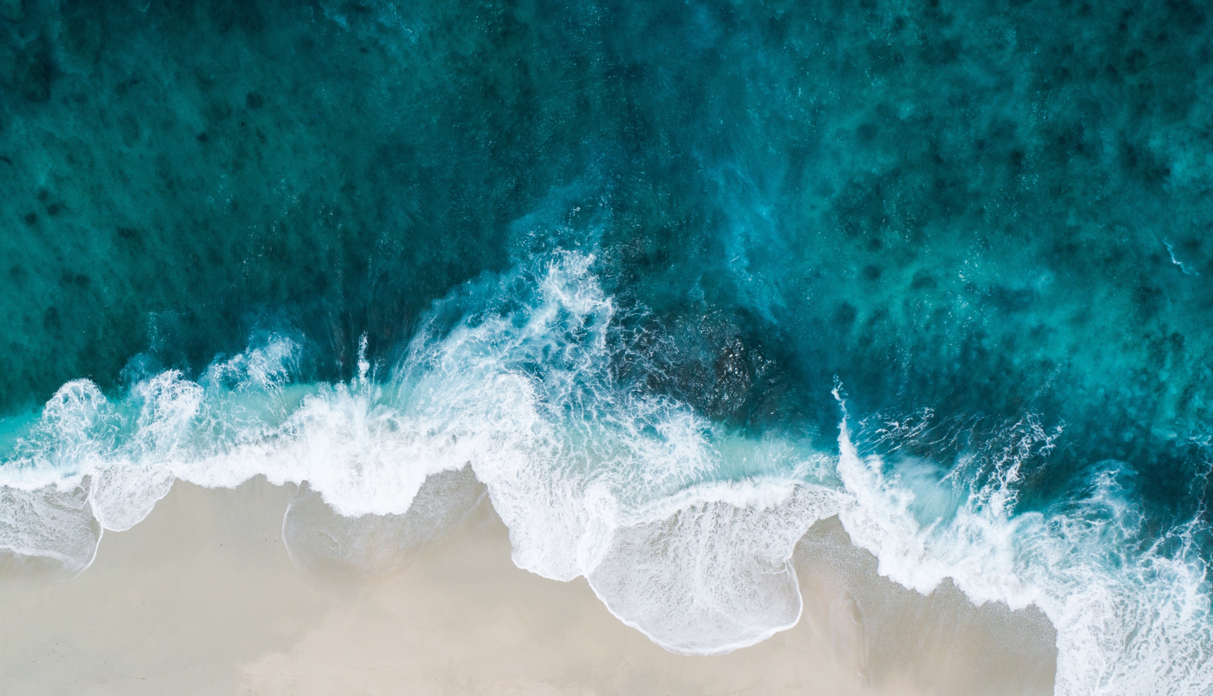 Aquatic Dream Girl OnlyFans header