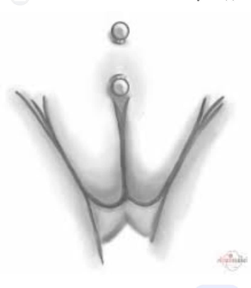 Thalia OnlyFans header