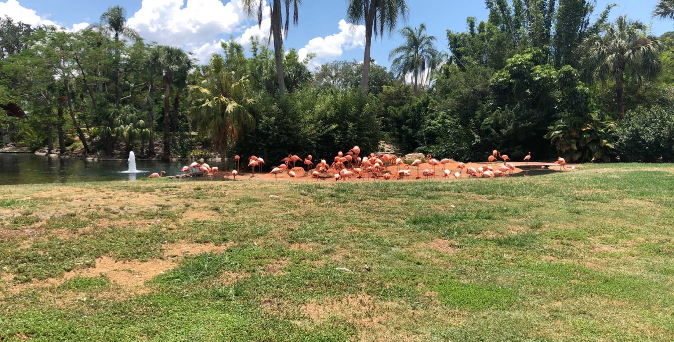 Typhany W OnlyFans header