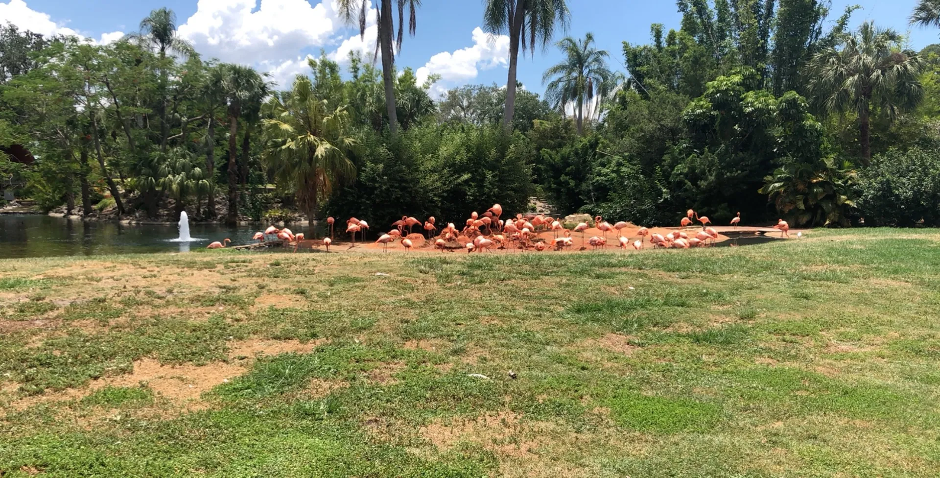 Typhany W OnlyFans header