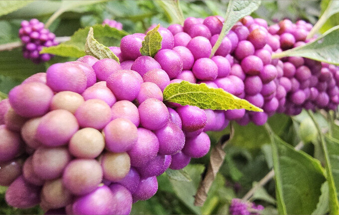 Miss Lynnie OnlyFans header