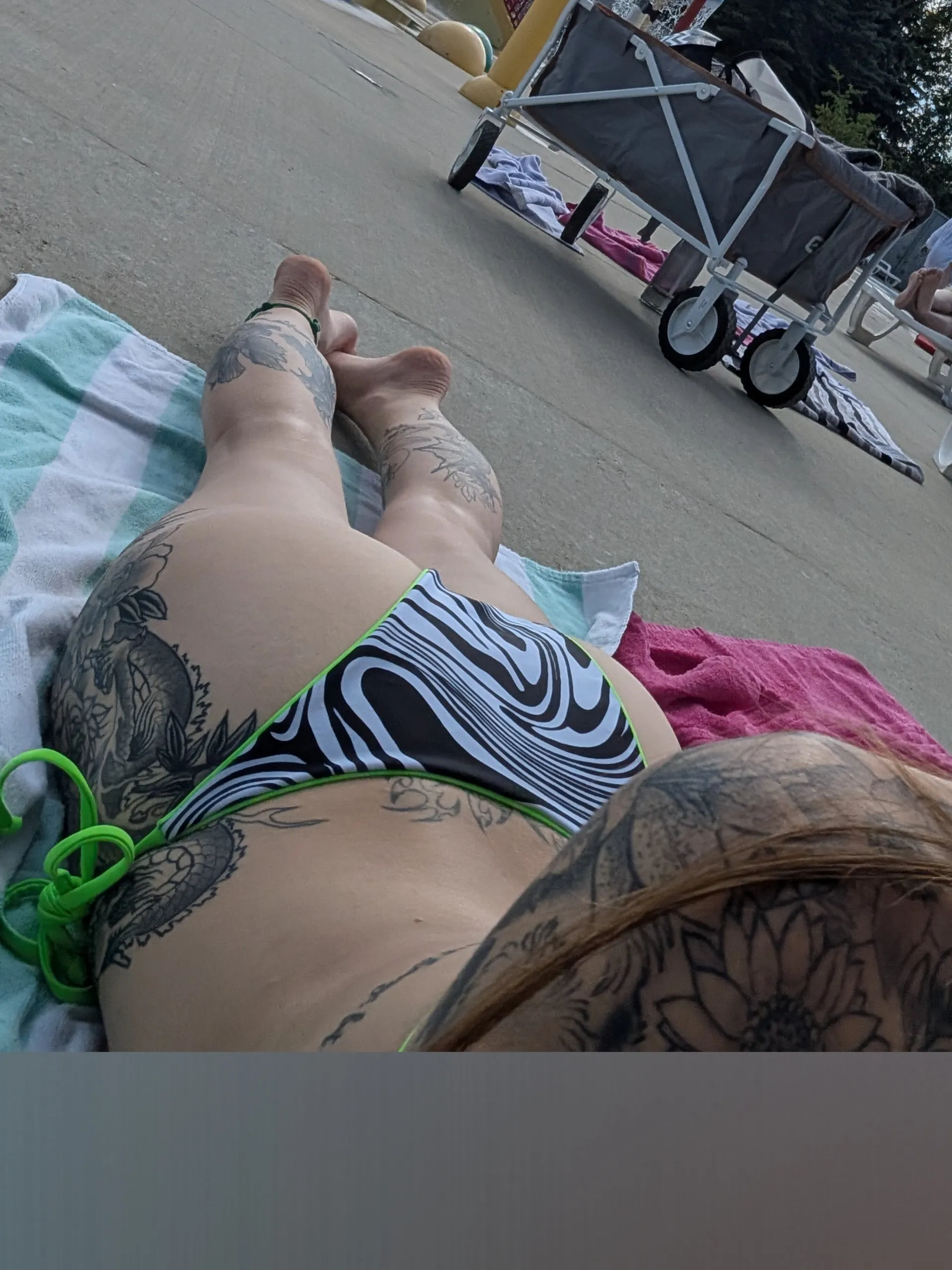 a🌺 OnlyFans header