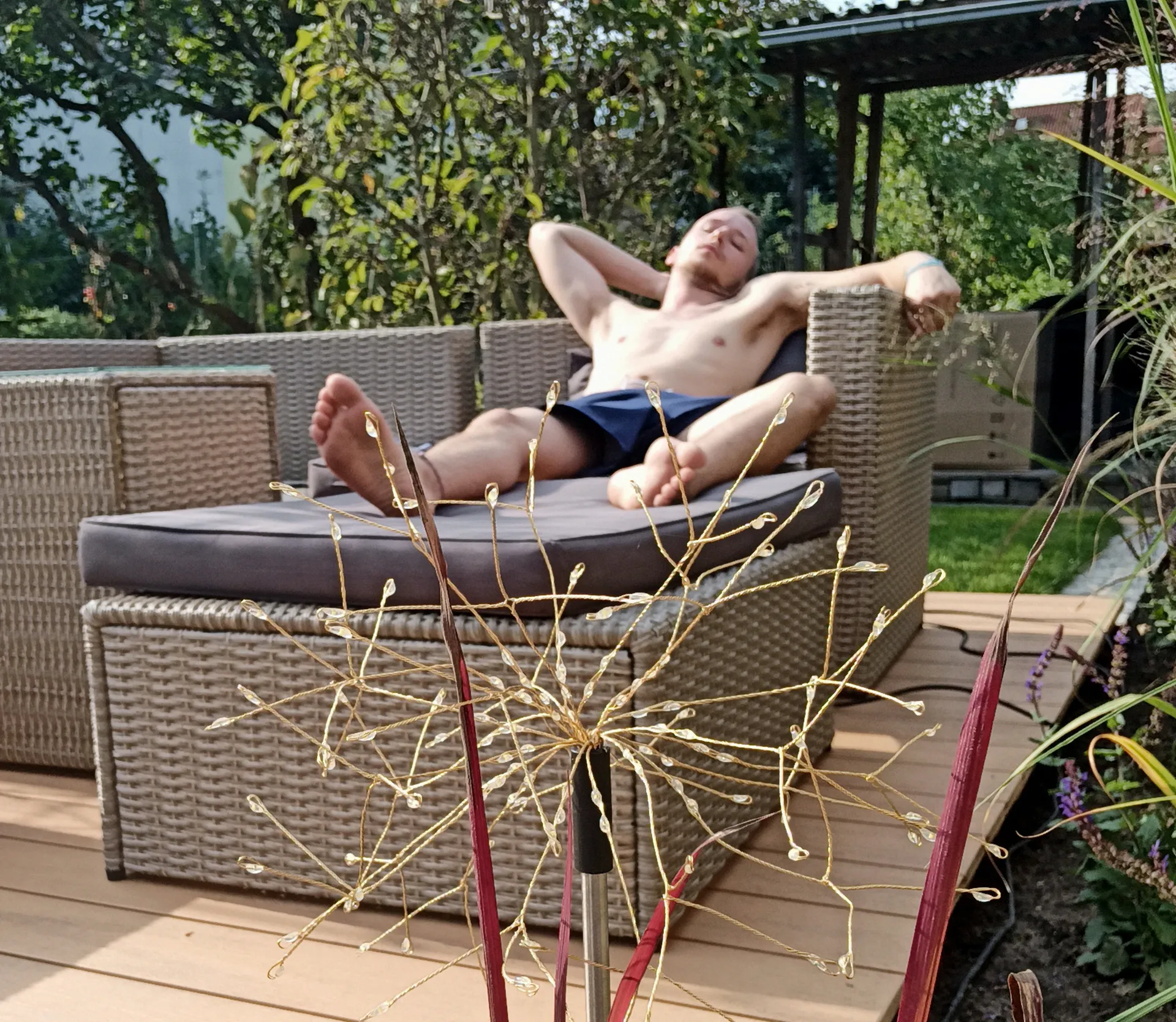 Rex Magnus OnlyFans header