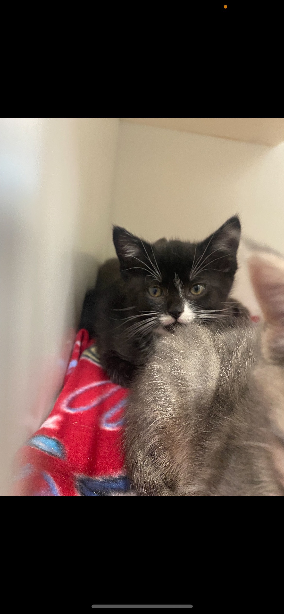 u60154198 OnlyFans header