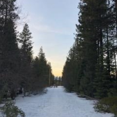 Aquarius OnlyFans header