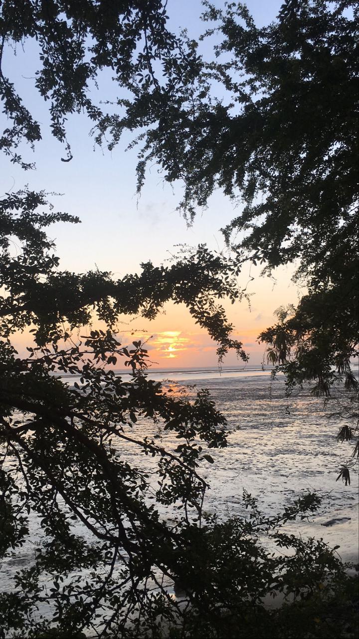 Mariana OnlyFans header