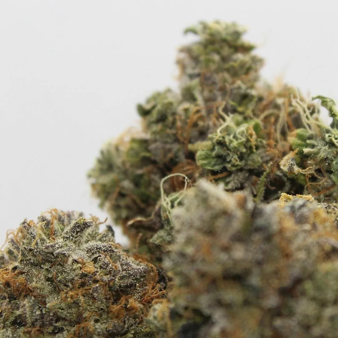 Boobs.n.Blunts OnlyFans header