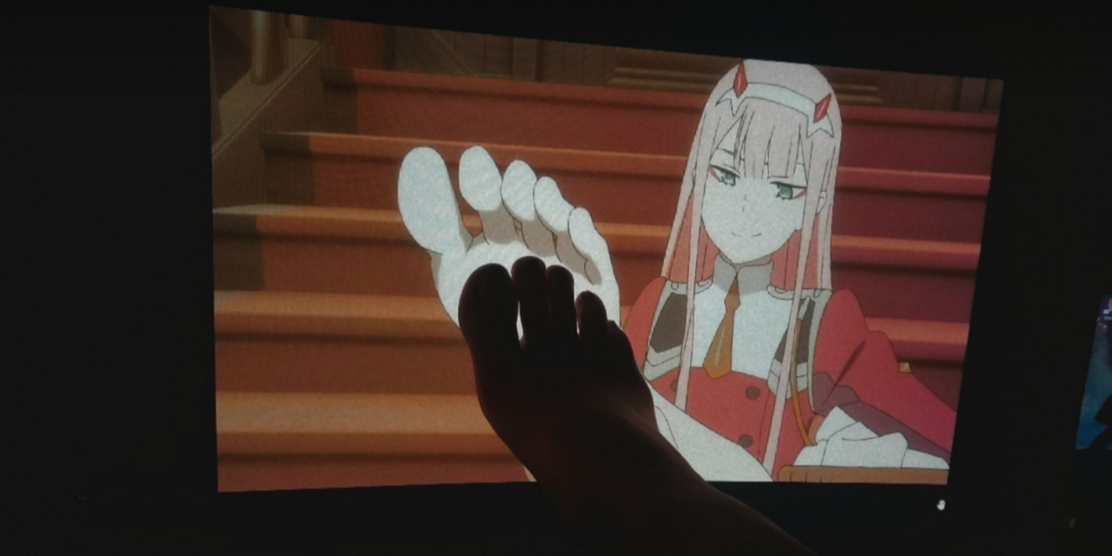 𝕭𝖊𝖊 OnlyFans header