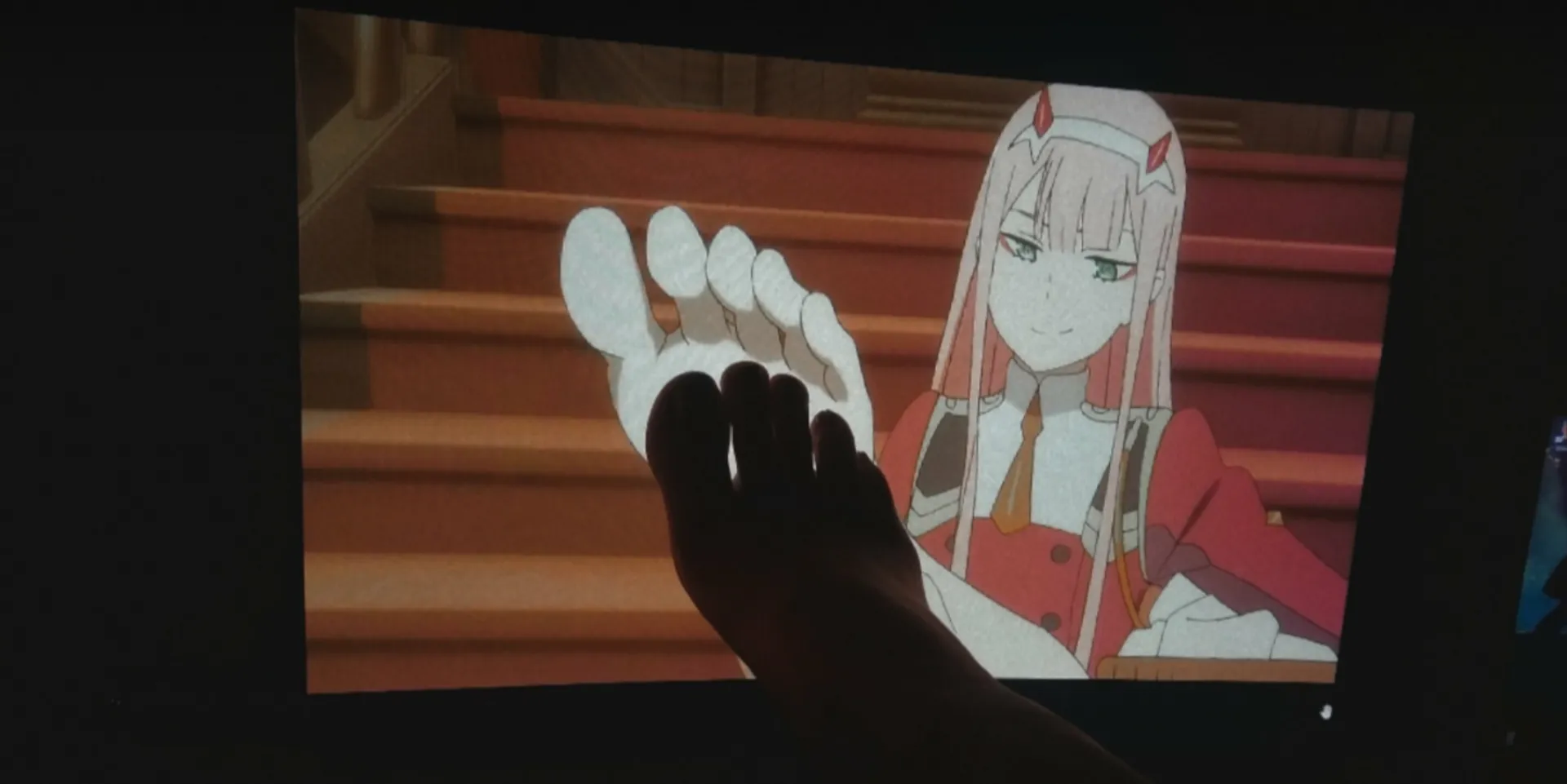 𝕭𝖊𝖊 OnlyFans header