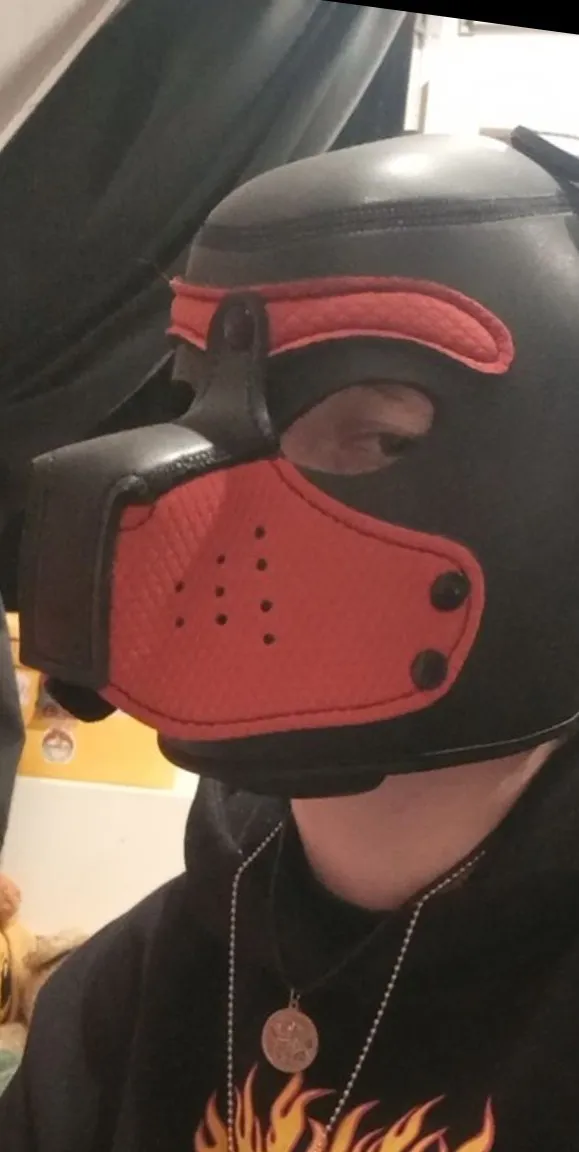 Arcturus/orion OnlyFans header